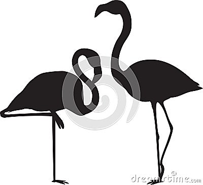 Flamingo Vectors Vector Illustration