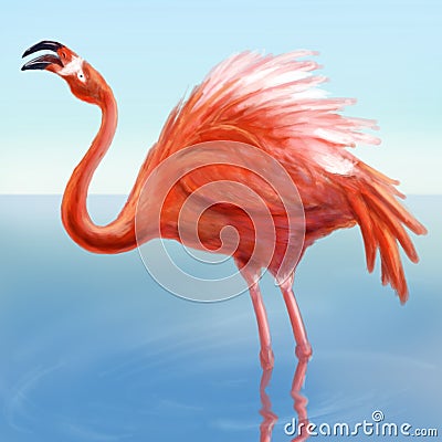 Flamingo in the water Stock Photo