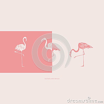 Flamingos silhouettes. Vector card. Cover design. Vector illustration. Vector Illustration