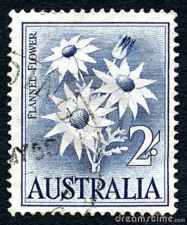 Flannel Flower Australian Postage Stamp Cartoon Illustration