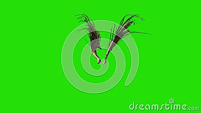 Flapping Brown Feathered Wings Green Screen 3D Rendering Animation Stock Footage - Video of closeup, animations: 171811986 Flapping Brown Feathered Wings Green Screen 3D Rendering Animation Stock Footage - Video of closeup, animations: 171811986