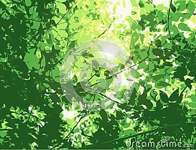 Flare in the leaves Vector Illustration
