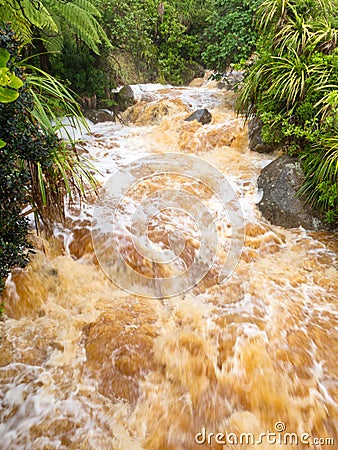 Flash flood in West Coast creek, NZ South Island Stock Photo