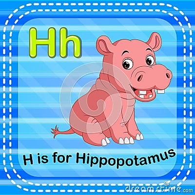 Flashcard letter H is for hippo Vector Illustration