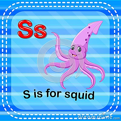 Flashcard letter S is for squid Vector Illustration