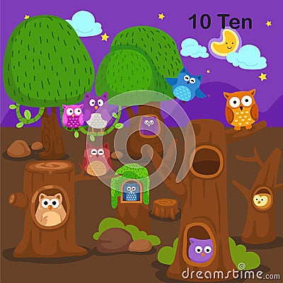 Flashcard number ten with 10 owl learning for kid Vector Illustration