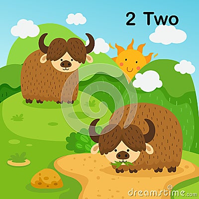 Flashcard number two with 2 yak learning for kid Vector Illustration