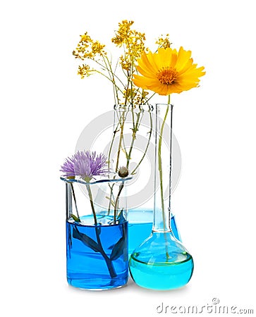 Flasks and beaker with flowers on white background Stock Photo