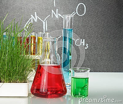 Flasks with colorful liquids Stock Photo