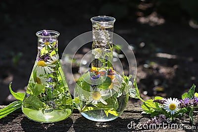 Flasks with medicinal herbs Stock Photo