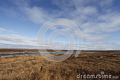 Flat arctic landscape in the summer with blue skies and soft clouds Stock Photo