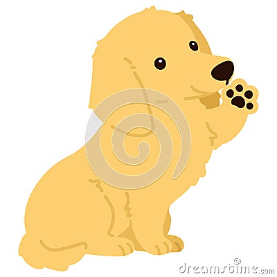 Flat colored golden Miniature Dachshund Vector Illustration