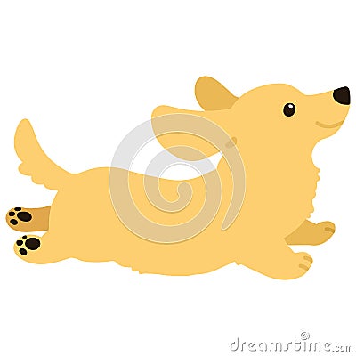 Flat colored golden Miniature Dachshund jumping Vector Illustration