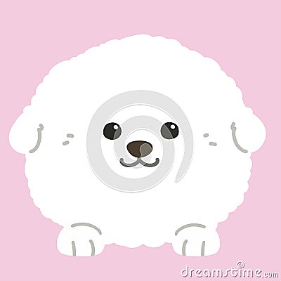 Flat colored white Bichon Frise front face with paws Vector Illustration