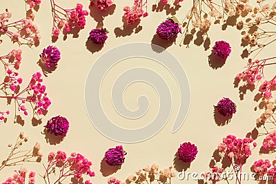 Flat design background with dried gypsophila flowers. Floral oval border Stock Photo