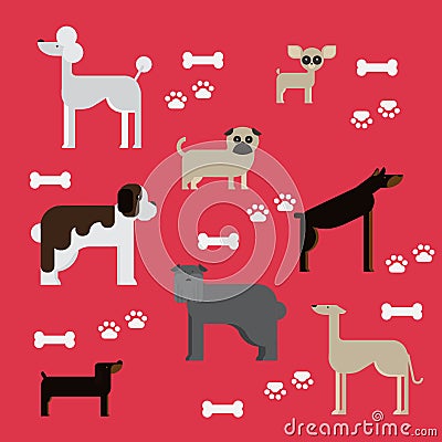 Flat dog characters set, cartoon pet animal collection chihuahua, doberman, mastiff, afgan greyhound, st bernard, pug, poodle Stock Photo