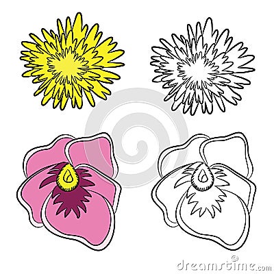 Vector Flat Drawings of Foalfoot and Heartsease Vector Illustration