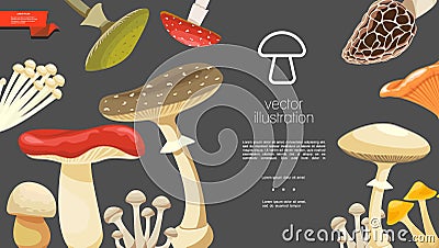 Flat Forest Mushrooms Colorful Template Vector Illustration