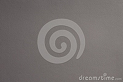 Flat gray fine texture of genuine leather. Natural expensive products Stock Photo