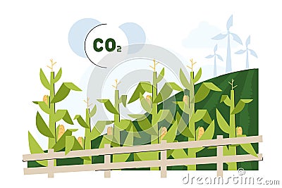 Flat green corn field for biofuel feedstock Vector Illustration