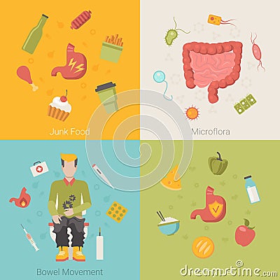 Flat healthy stomach intestines bowel organ Vector Illustration