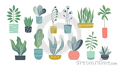 Flat houseplants. Indoor doodle garden plants, cute interior succulents and house plants. Hand drawn vector home garden Vector Illustration