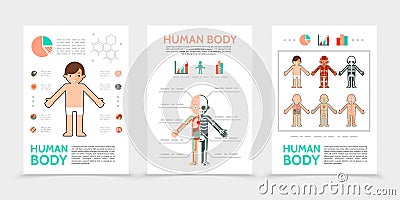 Flat Human Body Posters Cartoon Vector Biology Diagrams
