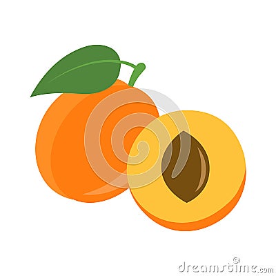 Flat icon apricot Vector Illustration