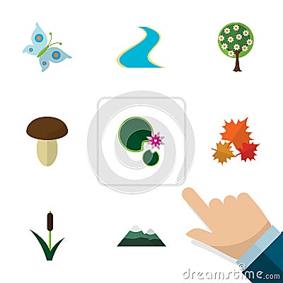 Flat Icon Ecology Set Of Lotus, Peak, Champignon And Other Vector Objects. Also Includes Fungi, Moth, Peak Elements. Vector Illustration