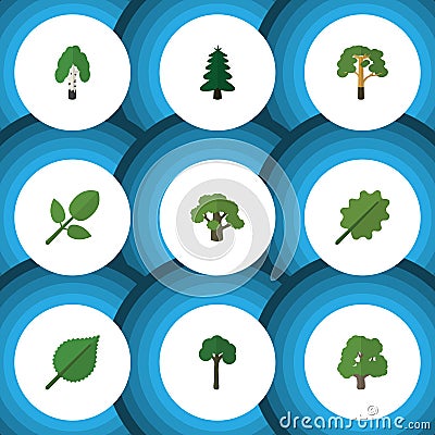 Flat Icon Ecology Set Of Tree, Wood, Park And Other Vector Objects. Also Includes Birch, Alder, Leaf Elements. Vector Illustration