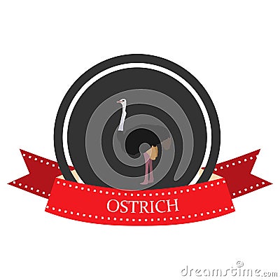 Flat icon ostrich with the name Vector Illustration