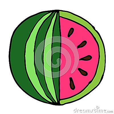 Flat icon watermelon and slice of watermelon Cartoon Illustration