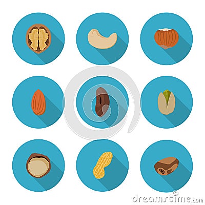 Flat icons nuts Stock Photo