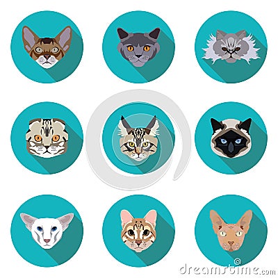 Flat icons set of pedigreed cats Stock Photo