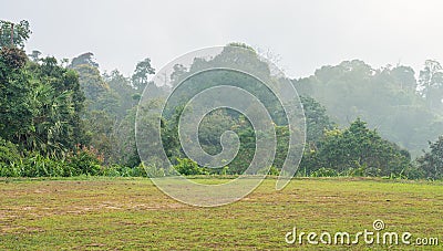 Flat land with grass on hilltop in winter season Stock Photo