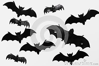 flat lay arrangement with bats. High quality photo Stock Photo