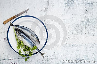 flat lay arrangement with cooked fish stucco background. High quality photo Stock Photo