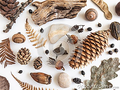 Flat lay autumn composition. Natural pattern of various fall forest materials Stock Photo