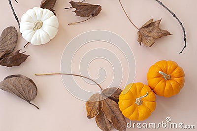 Flat lay autumn fancy halloween pumpkins and dried leaves on pas Stock Photo