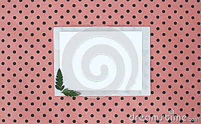 Flat, lay, background with white paper sheet for text and fern leaves, top view, polka dots background, natural color Stock Photo