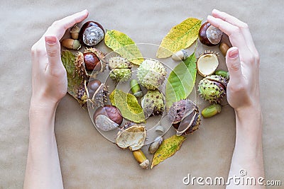 Flat lay composition for autumn holidays Thanksgiving greeting cards. Acorns, leaves, chestnuts with woman hands in the shape of a Stock Photo