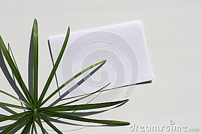 Flat lay composition with blank greeting cards, invitations mock up, envelopes and palm leave on white table background. Stock Photo