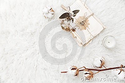 Flat lay composition with dry flowers, cotton and old letters. Stock Photo