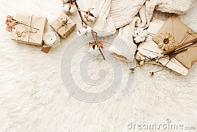 Flat lay cozy composition. Trendy autumn background with dried cotton Stock Photo