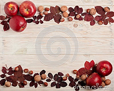 Flat lay frame of autumn crimson leaves, hazelnuts, walnuts and Stock Photo