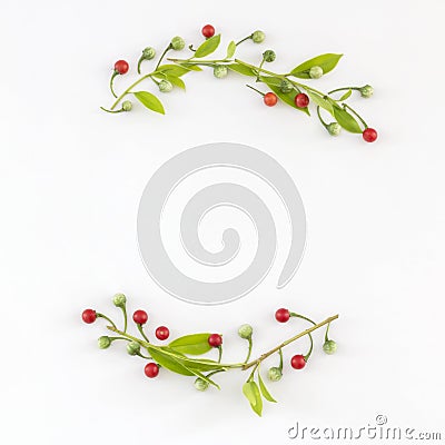 Flat lay of frame wreath made from Thai herbs Stock Photo