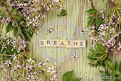 A border of various dried flowers surrounding wooden letters spelling the word breathe Stock Photo