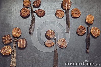 Of dried natural treats for dogs, a fruit garden is laid out on a dark background. Five beef scar trees and bovine testes. Stock Photo