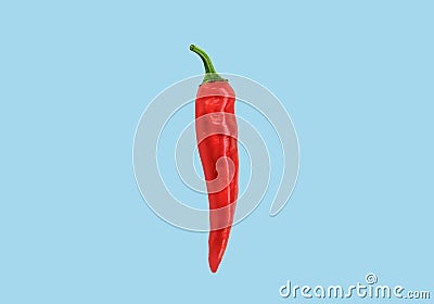 Flat lay red chili peppers pattern on ligh blue t background. Top view. Stock Photo