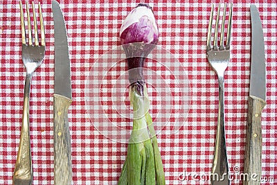 Flat lay of red onion of tropea between cutleries Stock Photo